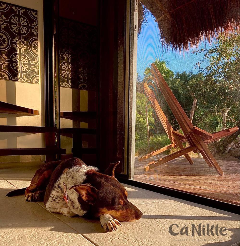 Ca Nikte Cabanas El Cuyo Luaran gambar