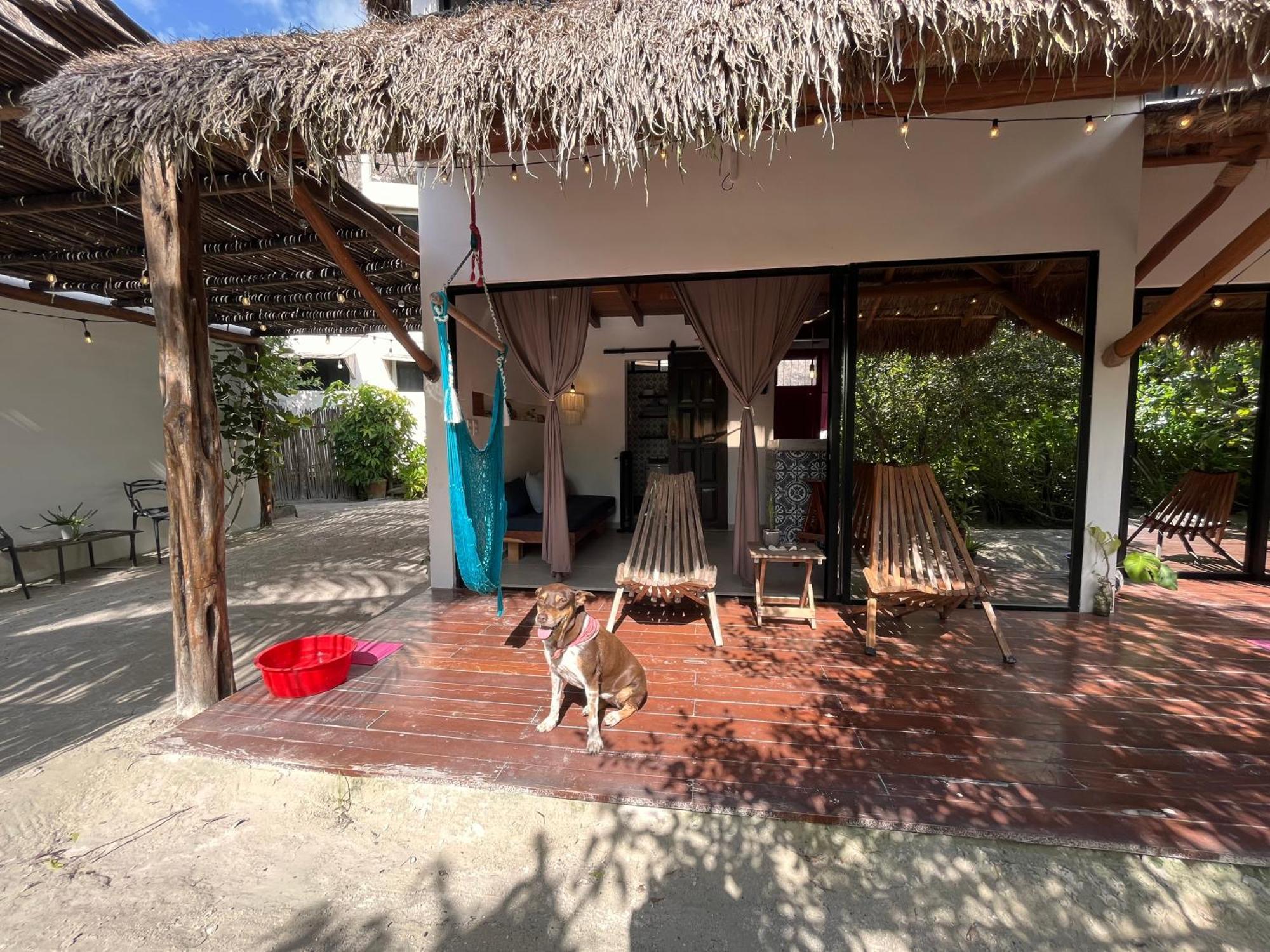 Ca Nikte Cabanas El Cuyo Luaran gambar